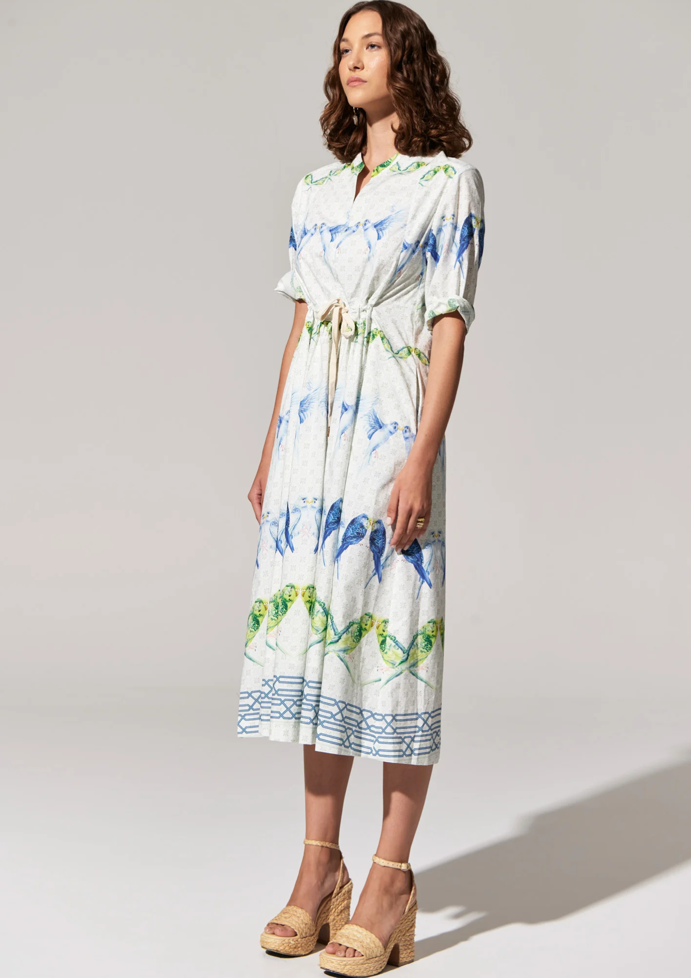 POL - Barrie Shirt Dress