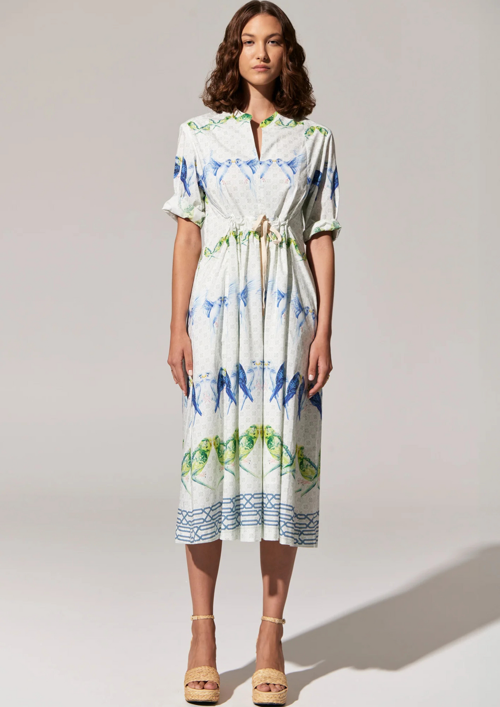 POL - Barrie Shirt Dress