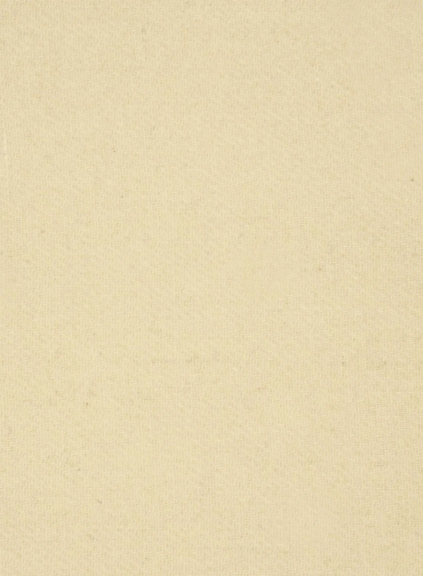 Esmaee Capture Jacket - Cream