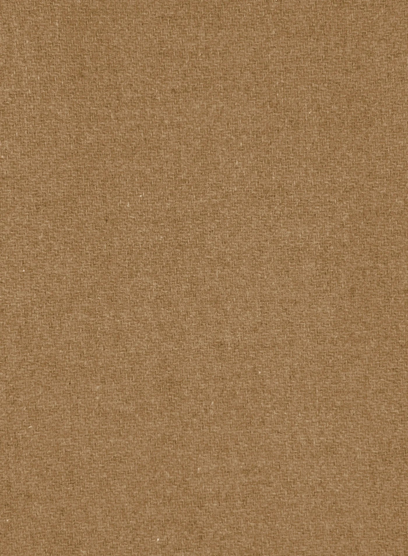 Esmaee Eternal Coat - Camel