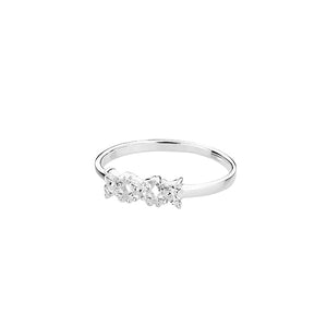 Ichu  -XXX Ring